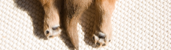 6_070212-5.jpg