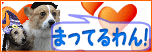 matteruWAN-banner.gif